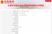 泰兴市机动车辆安全技术检测站被行政处罚