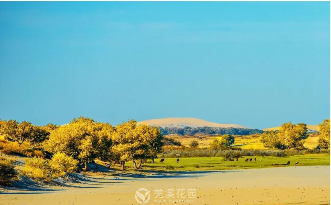 微信图片_20220220161022.jpg 微信图片_20220220161022.jpg