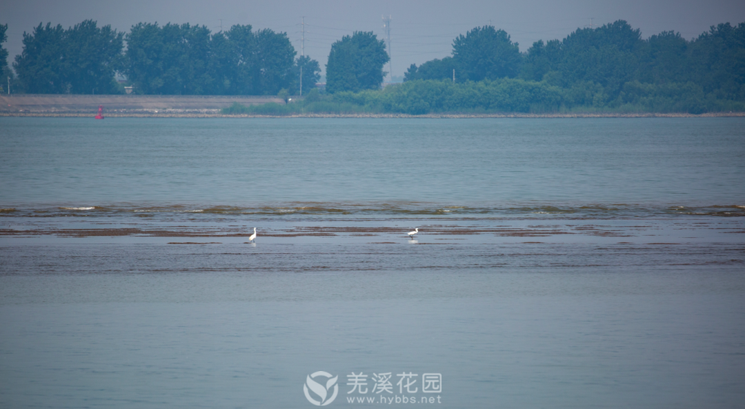 微信图片_20220310110153.png 微信图片_20220310110153.png