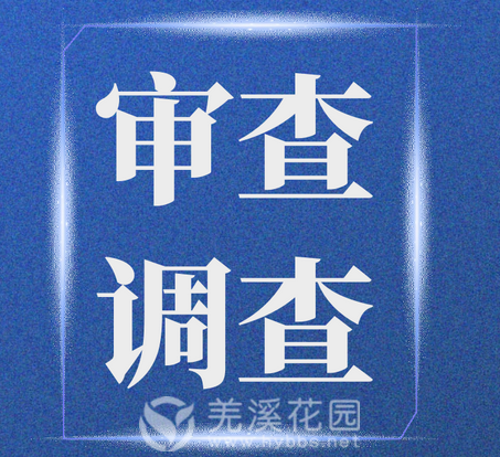 审查调查.png