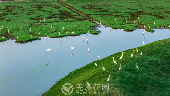 微信图片_20250928181808.jpg 微信图片_20250928181808.jpg