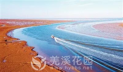 微信图片_20251020183749.jpg 微信图片_20251020183749.jpg