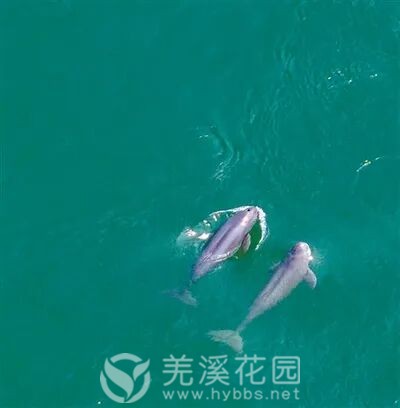 微信图片_20251020183756.jpg 微信图片_20251020183756.jpg